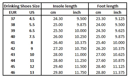 shoe size inch to cm